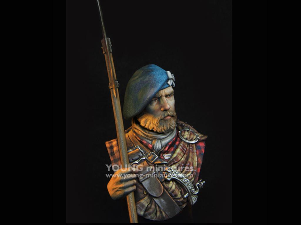 Scottish Highlander (Vista 8)