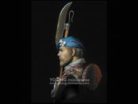 Scottish Highlander (Vista 11)
