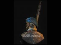 Scottish Highlander (Vista 12)