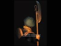 Scottish Highlander (Vista 14)