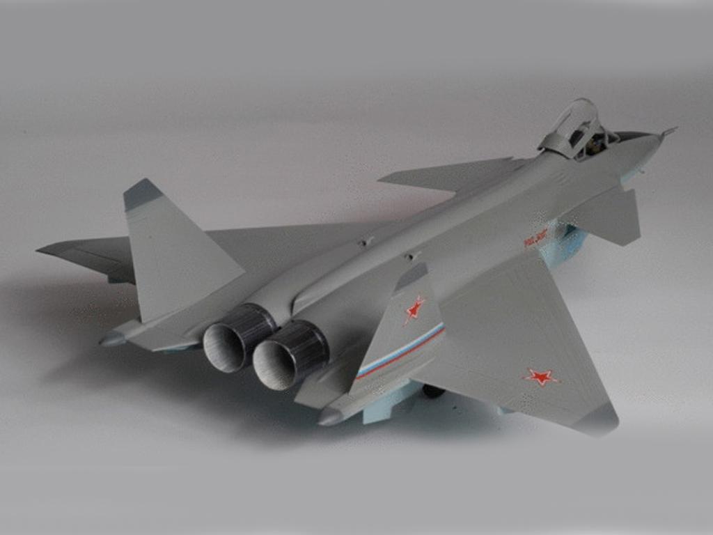 MIG 1.44 Russian Multi-role Fighter (Vista 3)