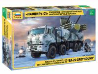 Sistema Anti Aereo Pantsir-S1 (Vista 8)