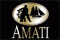 Logo Amati